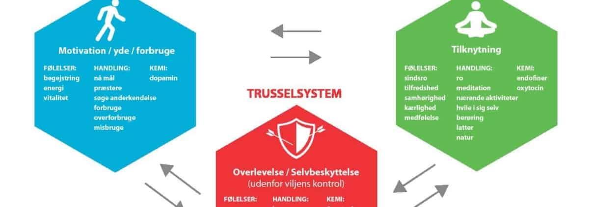 Følelsesregulerende systemer - Model